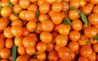 Опасные мандарины: в Украину завезли партию цитрусовых с вредителем