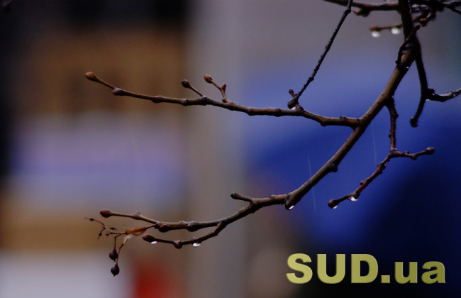 Год в столице начался с температурных рекордов: погода как в октябре