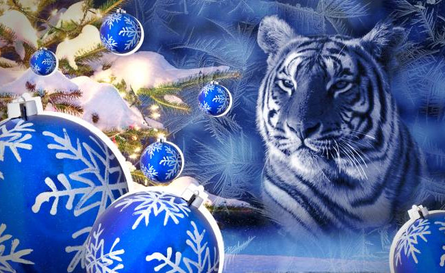 Любимчики фортуны: эти знаки зодиака разбогатеют в первой половине января