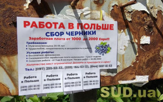 Работа в Польше: Анджей Дуда утвердил упрощение трудоустройства украинцев