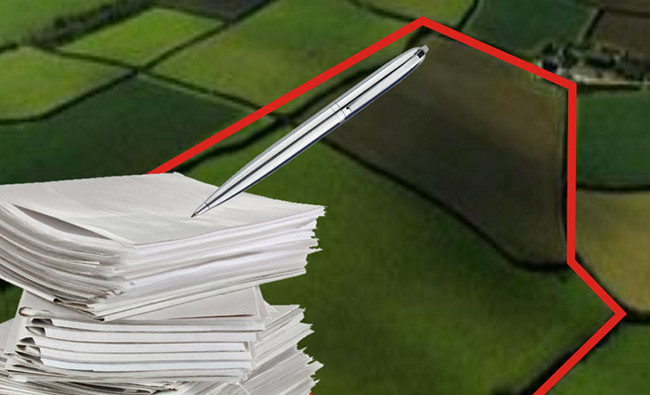 ВС висловився щодо забезпечення позову у вигляді арешту земельної ділянки