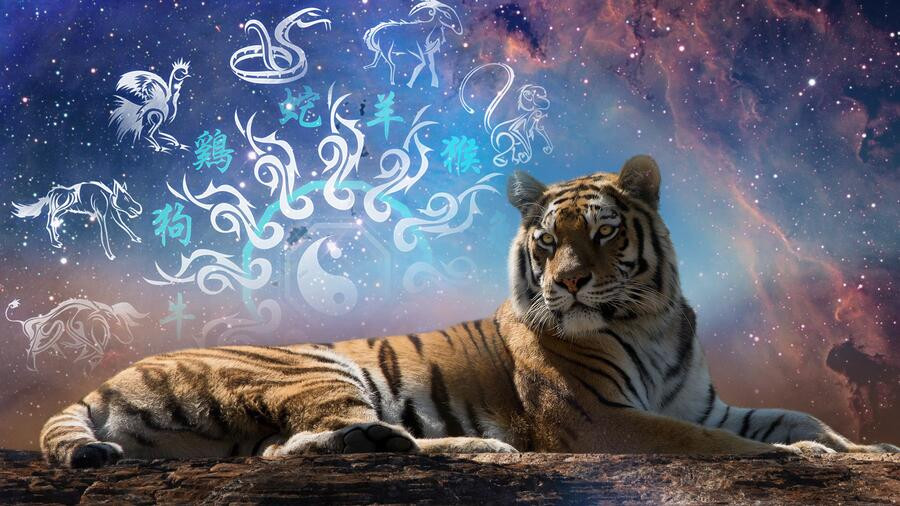 Дела сердечные: что Тигр обещает каждому знаку зодиака в отношениях