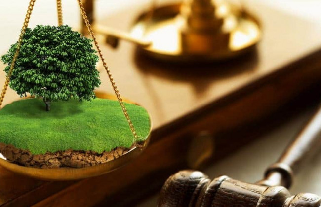 Забезпечення позову у вигляді арешту земельної ділянки: Верховний Суд висловив позицію