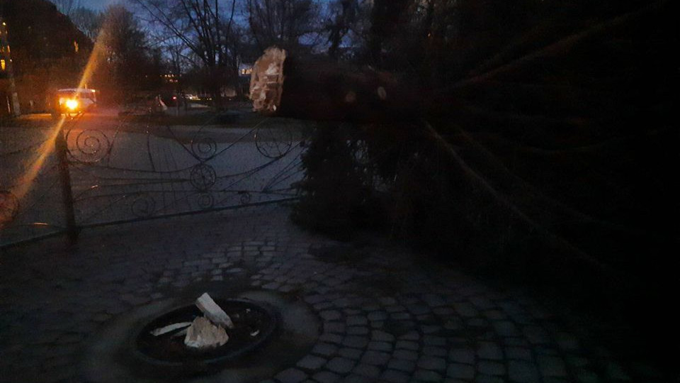В канун Рождества в Калуше упала главная новогодняя елка: фото