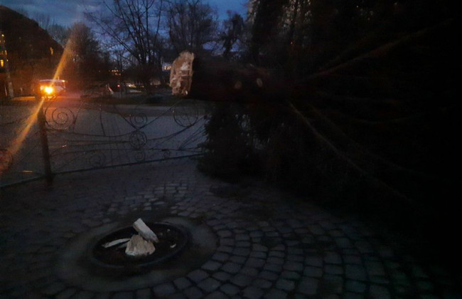 В канун Рождества в Калуше упала главная новогодняя елка: фото