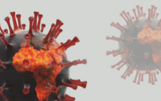 Стало известно, почему у штамма «Омикрон» «мягкие» симптомы