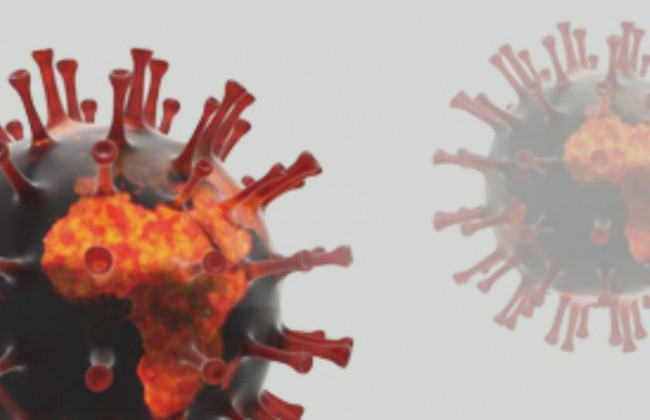 Стало известно, почему у штамма «Омикрон» «мягкие» симптомы