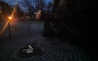 В канун Рождества в Калуше упала главная новогодняя елка: фото