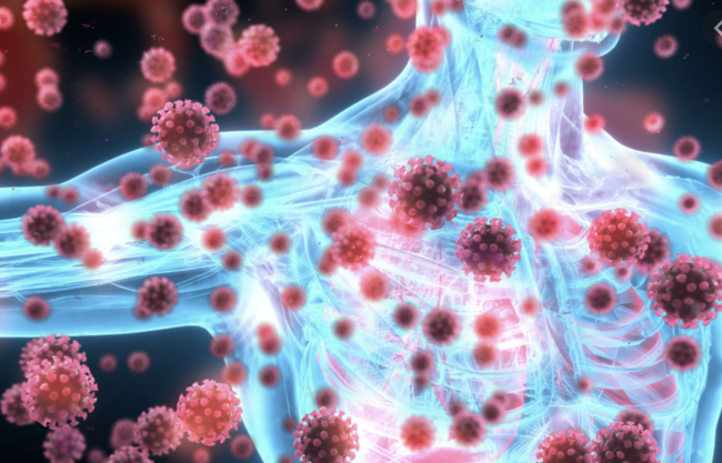 Стало известно, по чем в первую очередь бьет «Омикрон»