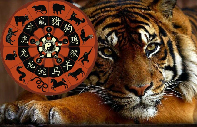 Полоса везения: эти знаки зодиака обретут успех и повысят свой доход в 2022 году