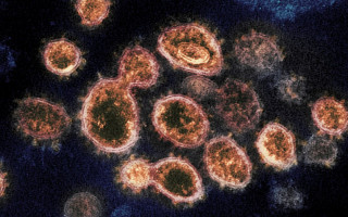 «Дельтакрон»: на Кипре обнаружили гибрид штаммов «Дельта» и «Омикрон»