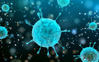 Не проходит бесследно: даже легкое течение COVID может привести к поражению органов