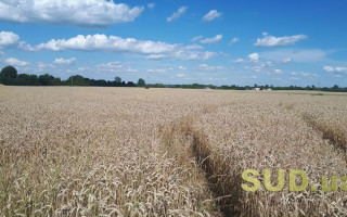 Виділення паю із земель фермерського господарства на користь його члена: позиція КАС ВС