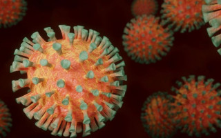 Вирусолог объяснил, чем опасен штамм «Омикрон»