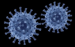 Назвали возможную причину появления штамма «Дельтакрон»