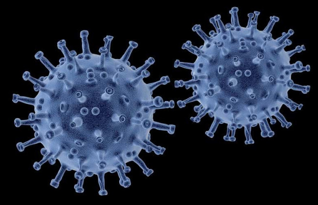 Назвали возможную причину появления штамма «Дельтакрон»
