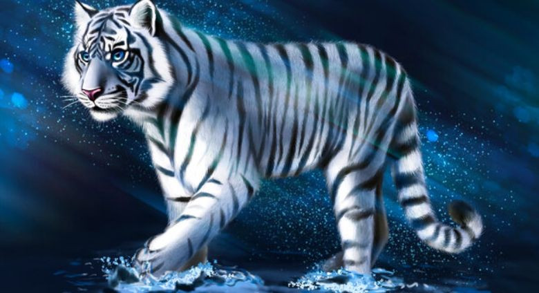 Заветные мечты исполнятся: назвали самые везучие знаки Зодиака в год Тигра