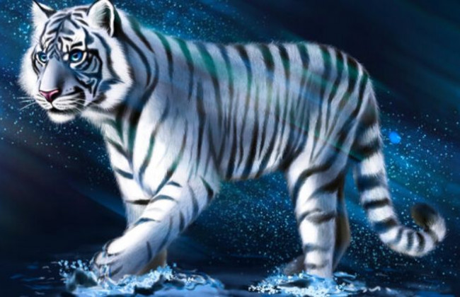 Заветные мечты исполнятся: назвали самые везучие знаки Зодиака в год Тигра