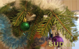 В Киеве обнаружили «кладбище» новогодних елок: видео