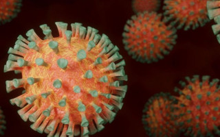 Стало известно, для кого наиболее опасен штамм «Омикрон»