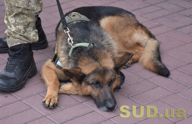 В Одессе «заминировали» несколько торговых центров