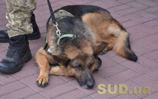 В Одессе «заминировали» несколько торговых центров