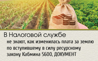 В Налоговой службе не знают, как изменилась плата за землю по вступившему в силу ресурсному закону Кабмина 5600, ДОКУМЕНТ