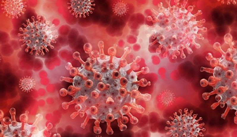 Ученые раскрыли, как соединения конопли действуют на коронавирус