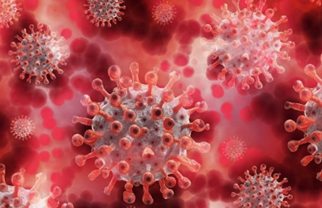 Ученые раскрыли, как соединения конопли действуют на коронавирус