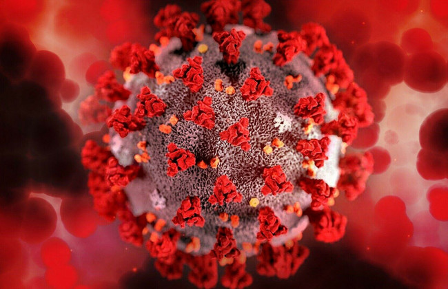 ВОЗ одобрила два новых препарата от коронавируса