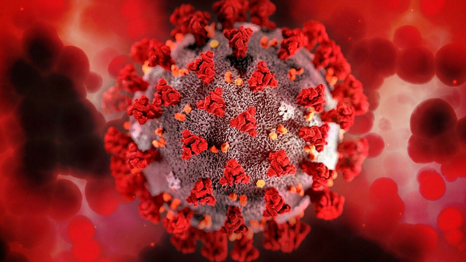 ВОЗ одобрила два новых препарата от коронавируса