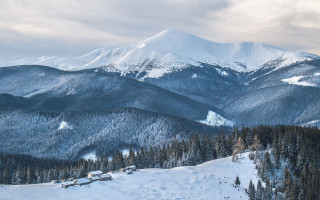 Трагедия в Карпатах: во время восхождения на Говерлу погиб турист, первые подробности