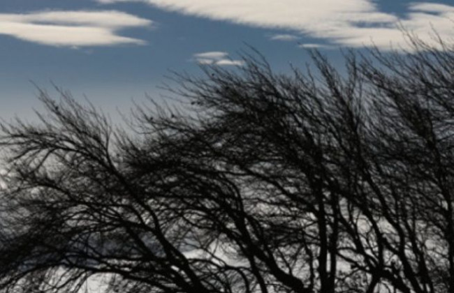 В Киеве зафиксировали рекордную скорость ветра