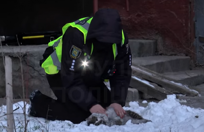 Надышалась дымом во время пожара: во Львове патрульные откачали кошку