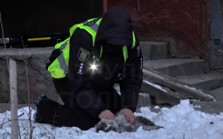 Надышалась дымом во время пожара: во Львове патрульные откачали кошку