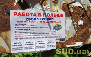 Работа в Польше: где украинским заробитчанам платят больше всего