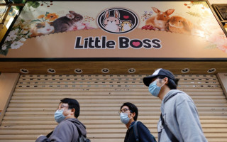 В Гонконге планируют усыпить 2000 хомяков после вспышки COVID-19