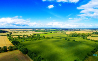 В Україні «законсервують» землі: для чого це зроблять