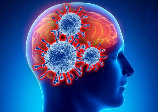 Ученые рассказали, как коронавирус может поражать мозг и усложнять лечение