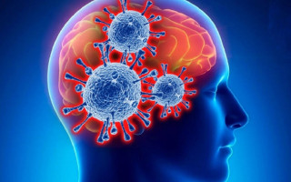 Ученые рассказали, как коронавирус может поражать мозг и усложнять лечение