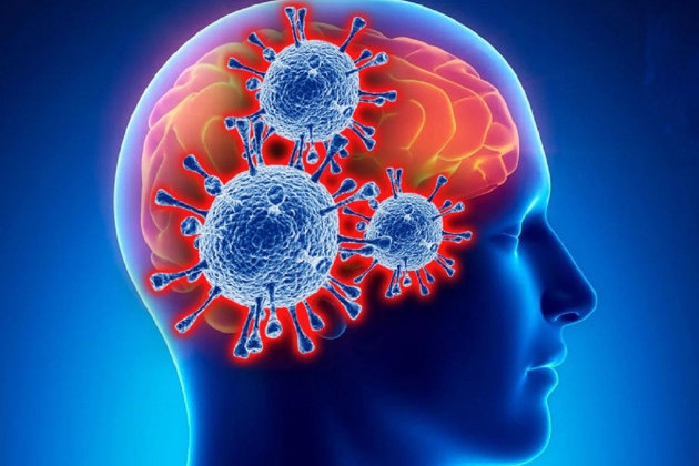 Ученые рассказали, как коронавирус может поражать мозг и усложнять лечение