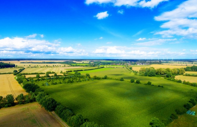 В Україні «законсервують» землі: для чого це зроблять