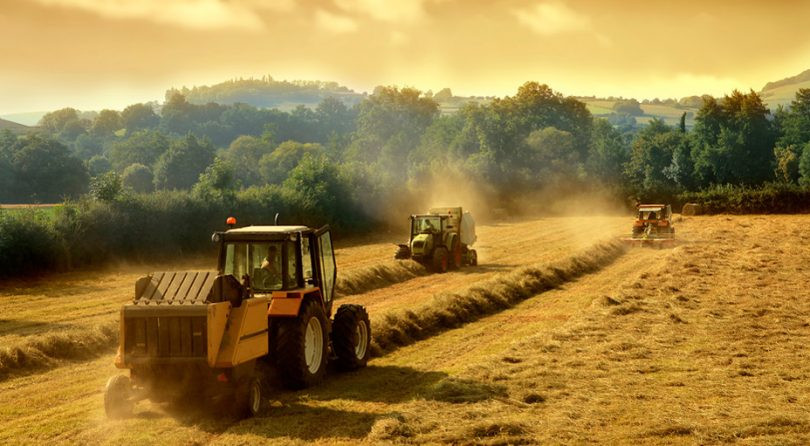 Право членів фермерських господарств на безоплатну передачу у власність земельних ділянок: ВС пояснив аспекти