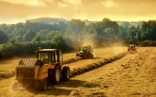Право членів фермерських господарств на безоплатну передачу у власність земельних ділянок: ВС пояснив аспекти