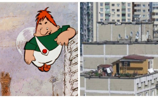 Мужчина построил дачу на крыше многоэтажного дома в Киеве и получил штраф