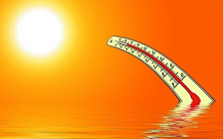 2021 год оказался одним из самых теплых