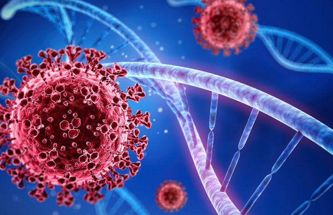 Стало известно, какие шансы повторно заразиться коронавирусом спустя месяц