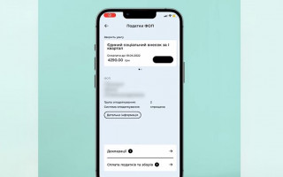 ФОПи 1-3 групи можуть подати річну декларацію у додатку Дія
