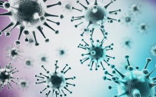 Почему наличие антител не означает, что человек защищен от рисков COVID-19