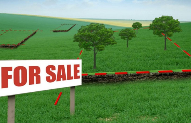 Механизм покупки земельного участка: что намерен изменить парламент, ДОКУМЕНТ